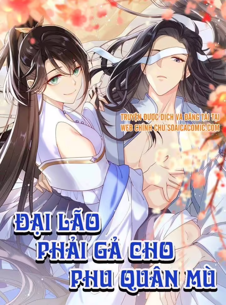 Đại Lão Phải Gả Cho Phu Quân Mù!